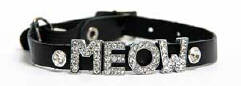 Hugo Designer Cat Collars - Personalised