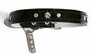 Hugo Designer Dog Collars - Crystal Collection