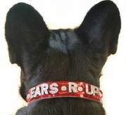 Personalised dog collars