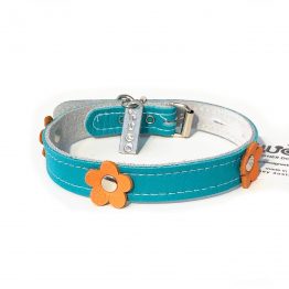 Daisys Collection