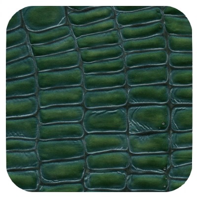 teal green croc