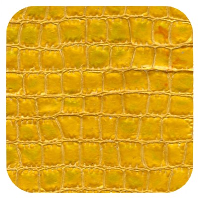 yellow croc